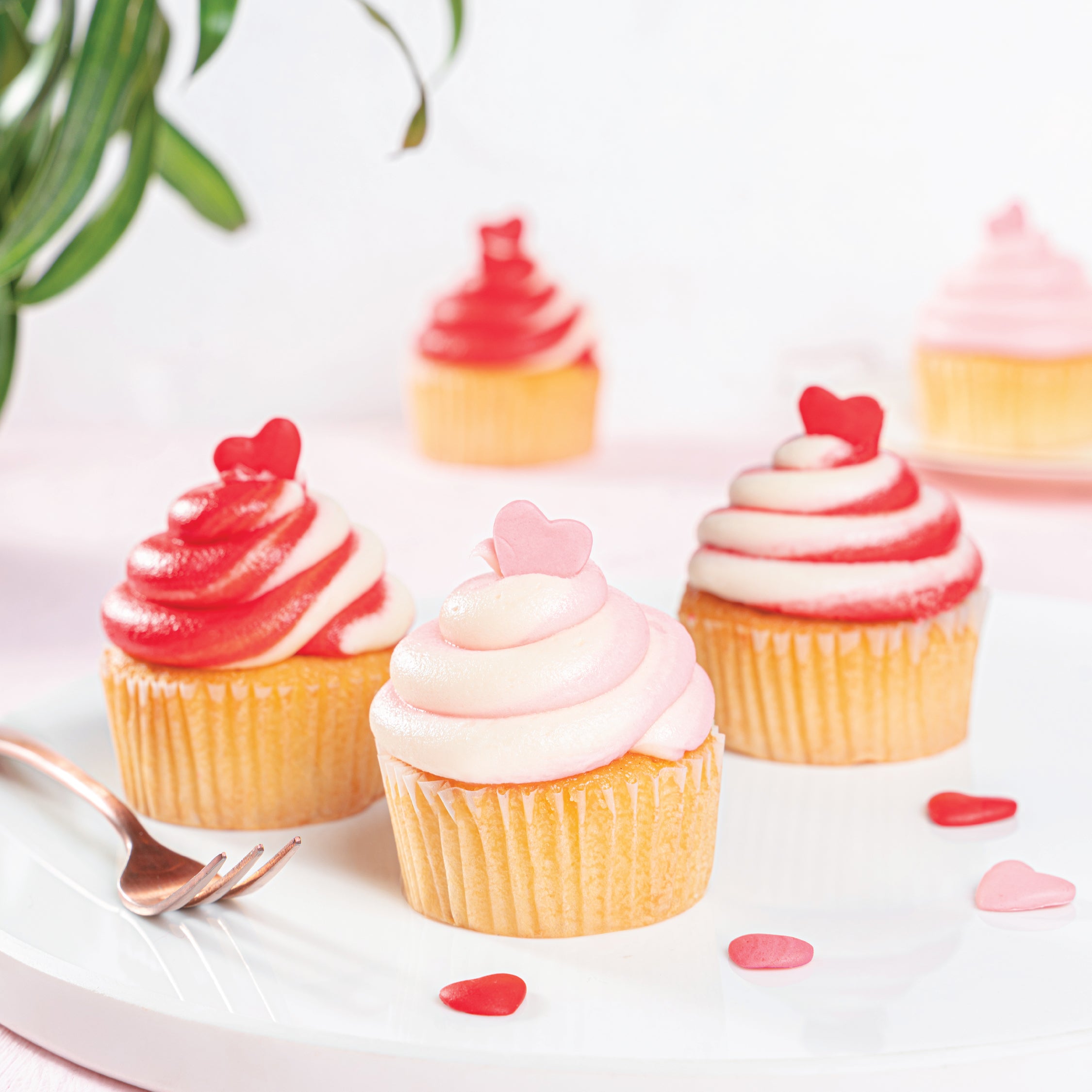 Vday Cupcakes (Box of 6) - KHI ONLY